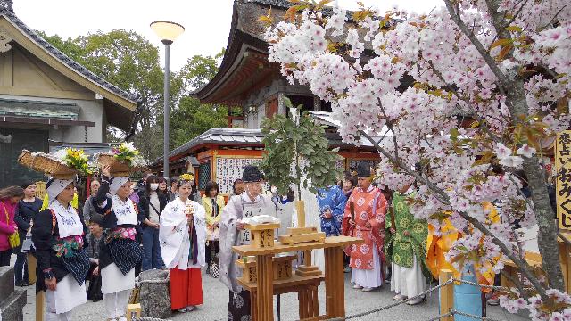 縁結び祈願桜祭り 北村季吟句 献詠