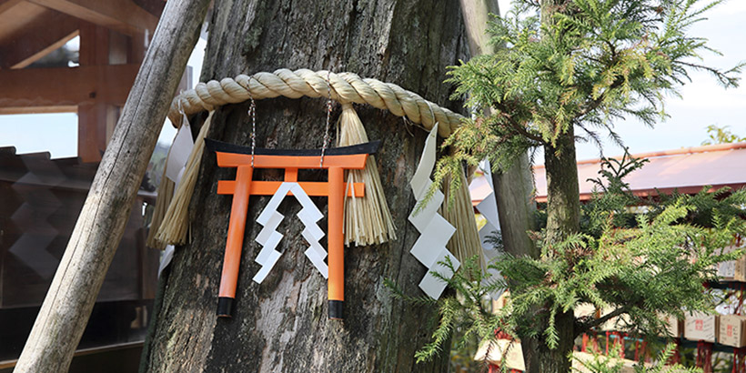 地主物語 夏 いのり杉 のろい杉 由来と歴史 縁結び祈願 京都地主神社