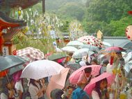 京都地主神社 恋愛成就 七夕祭り
