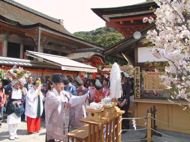 えんむすび祈願さくら祭り 北村季吟句献詠