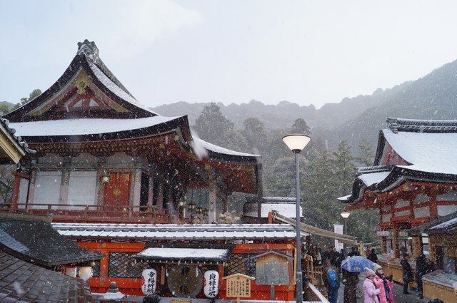 地主神社ご社殿・雪化粧