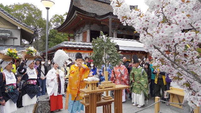 えんむすび祈願さくら祭り 修祓