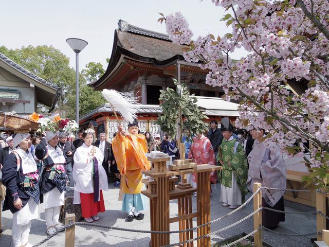 縁結び祈願桜祭り 修祓