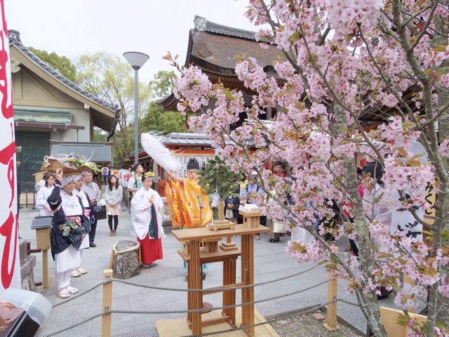 えんむすび祈願さくら祭り 修祓