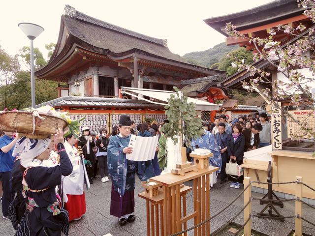 縁結び祈願桜祭り 献詠