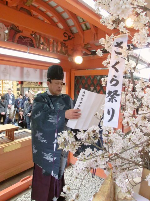 縁結び祈願桜祭り 祝詞奏上